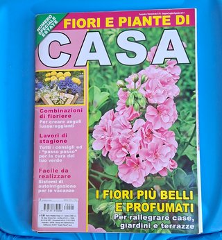 fiori e piante di casa n. 4