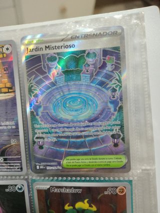 Carta Pokémon Jardín Misterioso 172/132