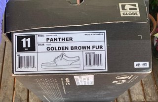 Zapatillas Globe