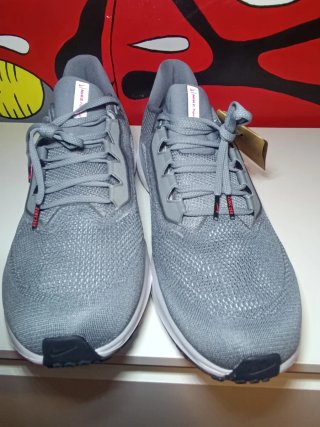 Nike Air Zoom Pegasus 41 Gris/Crimson T49'5