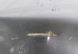 Paragolpes tras honda fr-v 2.2 i ctdi (be5) 377582