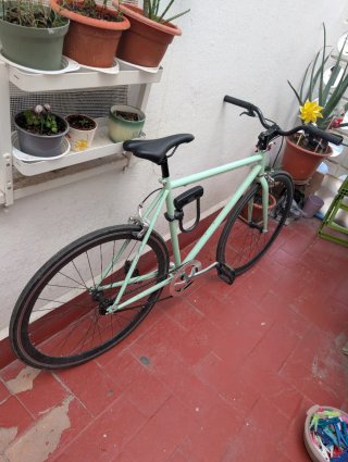 Bicicleta Single Speed