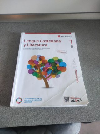 Lengua castellana y literatura