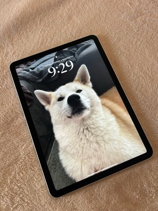 iPad Air 4 64GB Plata WiFi + Cellular