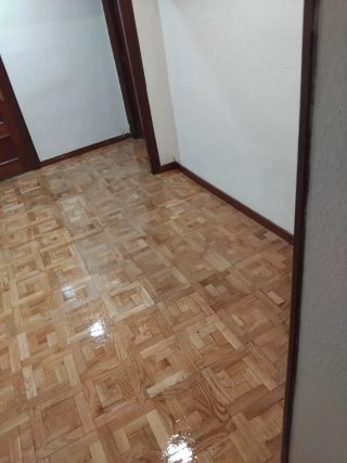 Parquet de madera y pinturas