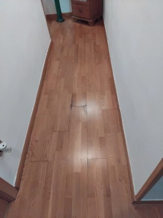 Parquet de madera y pinturas