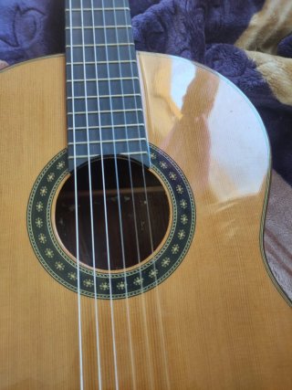 Guitarra Cocobolo Juan Montes