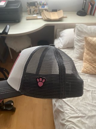 Gorra Pink Panther Snapback Gris y Rosa
