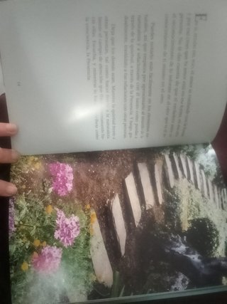 Libro Eckhart Tolle: La quietud en medio del mundo