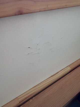 Cama alta Kura Ikea con dosel