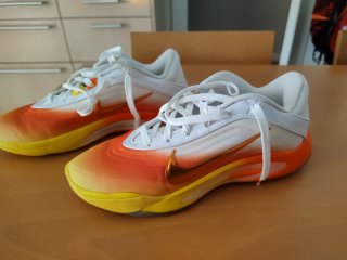 Zapatillas Baloncesto Nike A`ja Wilson