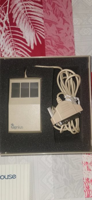 Genius Mouse GM-6 PC - Ratón Ordenador