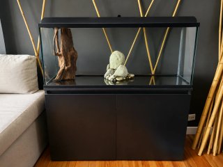 Acuario ICA 240L + Mueble Negro