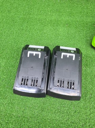 Greenworks Baterías y Cargador Doble 24V