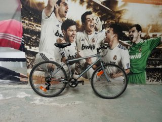 Bicicleta de montaña gris