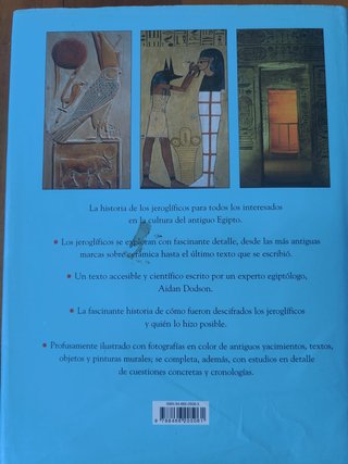 Libro jeroglíficos antiguo Egipto
