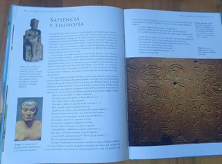 Libro jeroglíficos antiguo Egipto