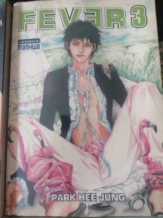 Manhwa Fever completo