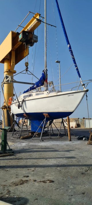 Daimio 23 velero
