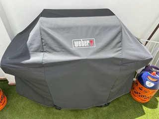 Barbacoa Weber Genesis II GS4