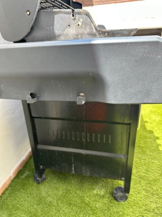 Barbacoa Weber Genesis II GS4