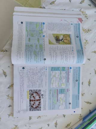 Lengua castellana y Literatura por tareas 3 ESO...