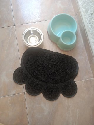 Accesorios para gatos: cuencos y alfombrilla