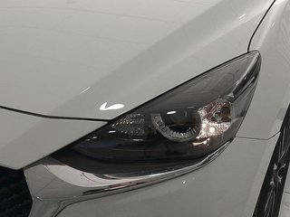 Mazda 2 1.5 G e-SKYACTIV Homura 66 kW (90 CV)