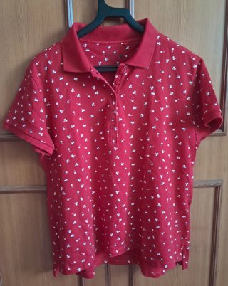 Polo Easy Wear