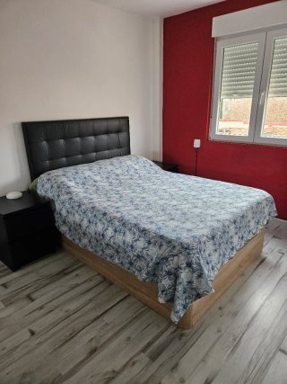Alquila habitación
