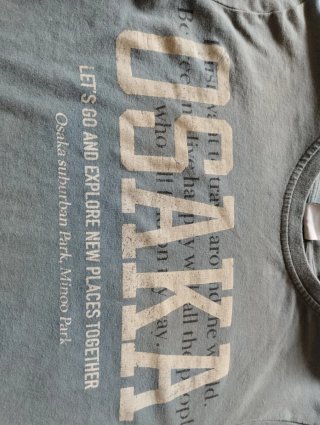 Camiseta Bershka Osaka manga larga verde
