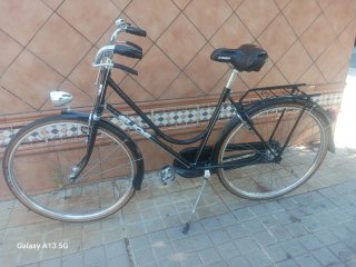 bicicleta de Varillas Elios