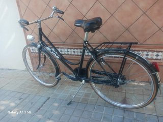 bicicleta de Varillas Elios