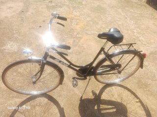 bicicleta de Varillas Elios