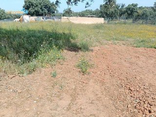 Solar en venta en Las Vaguadas - Urb. del Sur en Badajoz