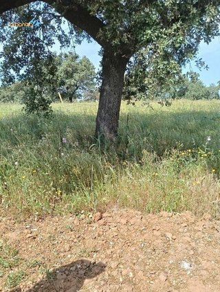 Solar en venta en Las Vaguadas - Urb. del Sur en Badajoz