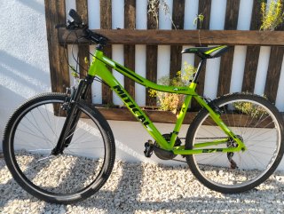 Bicicleta Montaña