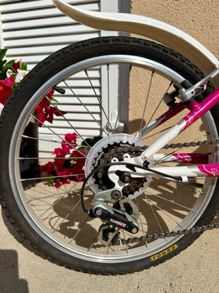 Bicicleta 20 Zephyr Stella Shimano