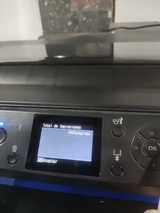 Impresora Epson F2100 + Pretratadora automática