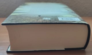 Novela romántica "La balada del corazón salvaje"