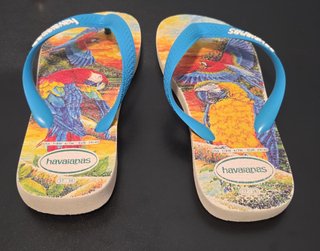 Infradito - Havaianas BEI - Augusta (SR)