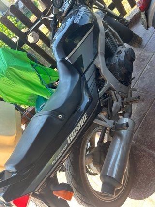 Despiece Suzuki GS 500 (1991)