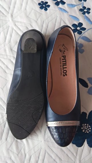Zapatos Pitillos Azul Marino y Dorado