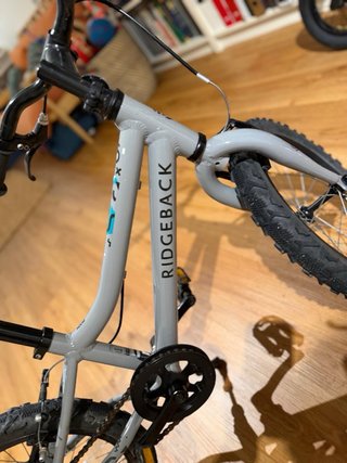 Bicicleta Ridgeback Gris MX16