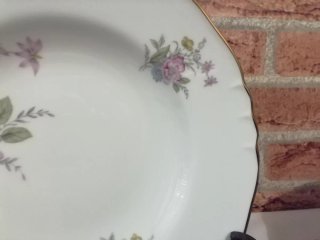 Piatti fondi Richard Ginori porcellana