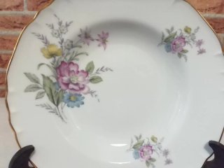 Piatti fondi Richard Ginori porcellana