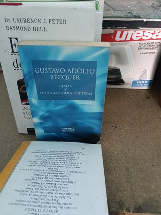rimas y declaraciones poeticas