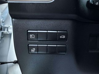 Lexus NX 2021 luxury 4WD