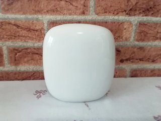 Vaso porcellana Rosenthal fiori