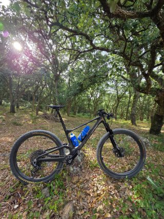 Scott Spark RC World Cup EVO TR 2024 Talla L